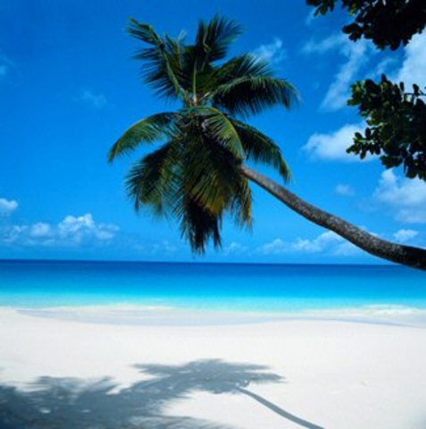 Moved from California to Flordia!