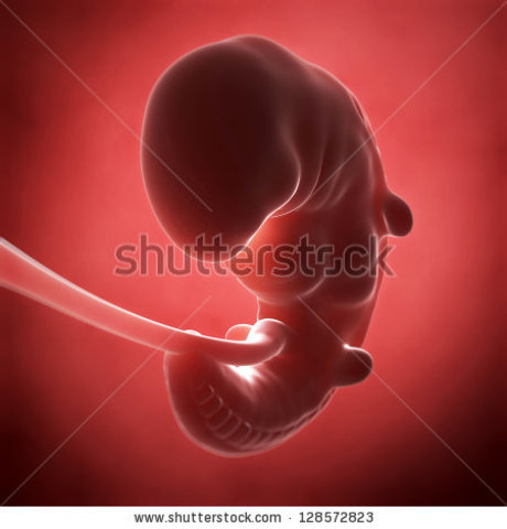 Month 1 Weight & Length