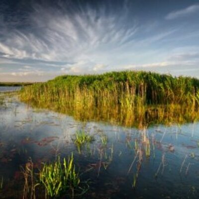 Timeline: Environmental Monitoring