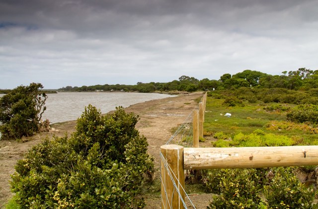 Ecosystem components