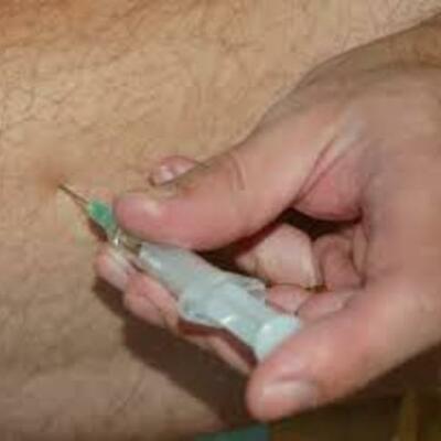 Timeline: PROGRAMA PIE