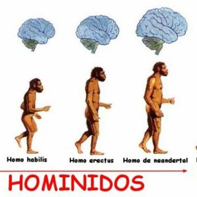 Timeline: Homínidos