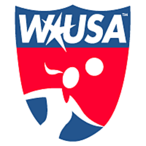 Women's United Soccer Association