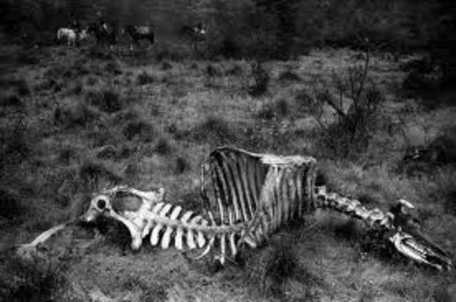 The Bombing of Nagasaki