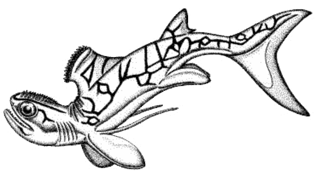 Carboniferous Period