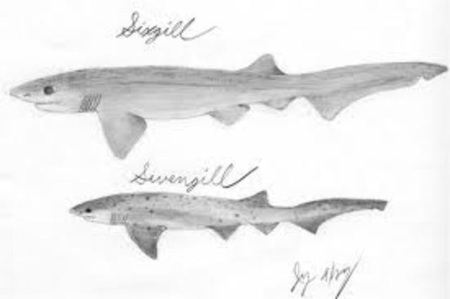 Jurassic and Cretaceous periods