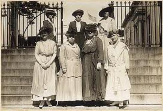 National American Woman Suffrage Association (NAWSA)