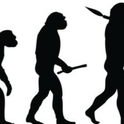 Timeline: Evolution