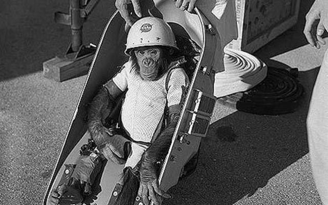 NASA Sends "Ham" the Chimp to go in to Space.