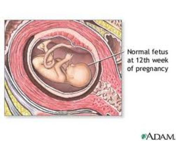 Its starting to look normal!