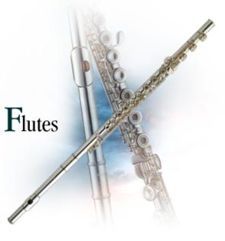 I Begin Playing the Flute