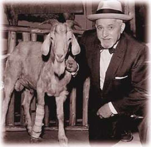 The Curse of the Billy Goat