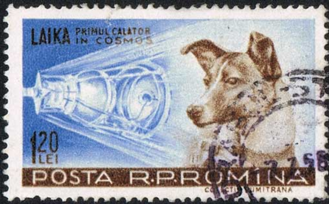 First Dog In Space