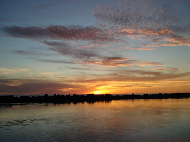 al colegio católico Loyola