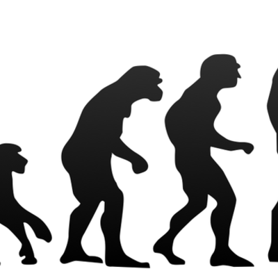 Timeline: History of Evolution