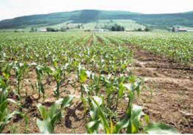 Fin de la reforma agraria