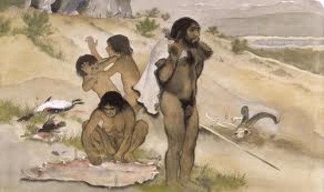 Homo neanderthalensis