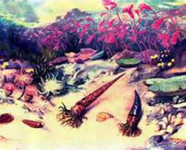 Silurian      400-430 mya