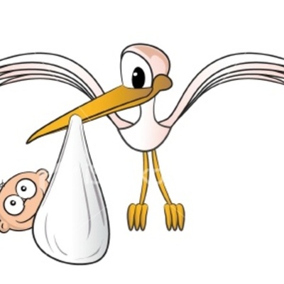 Timeline: Toddler Timeline