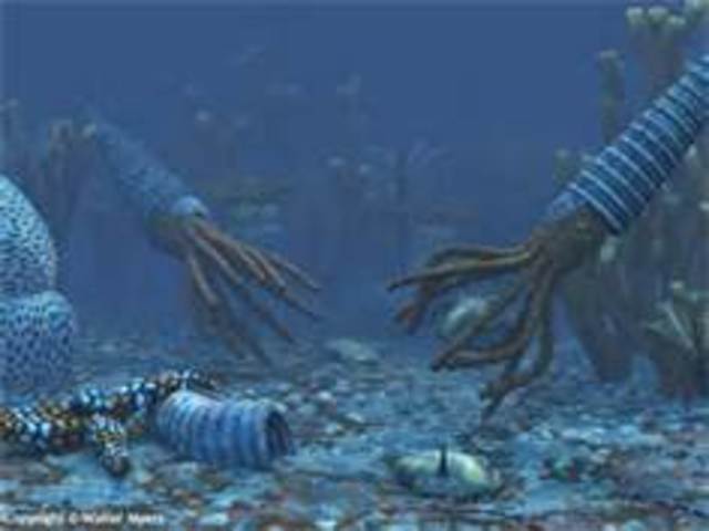 Paleozoic era          570 mya