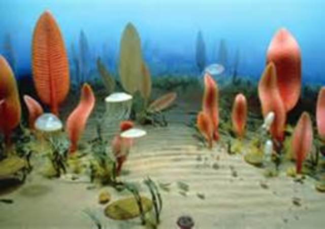 Phanerozoic      542 mya