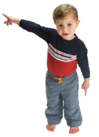 The First Twleve To Fifteen Months- Cognitvely