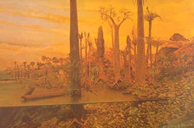 PERIODO CAMBRICO (perteneciente a la era paleozoica)