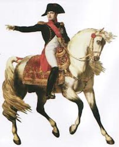 Napoleon´s life