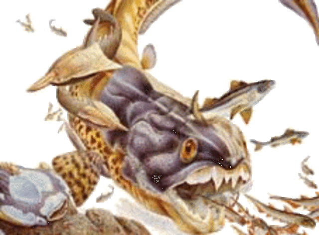 DEVÓNICO 345 m.a ERA PALEOZOICO