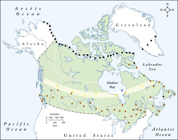 Continental Alliances: NORAD and DEW