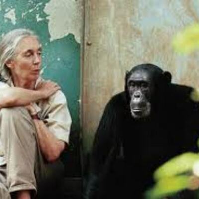 Timeline: Jane Goodall