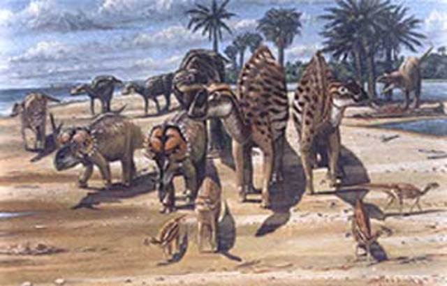 CRETÁCIO 65m.a  ERA MESOZOICO