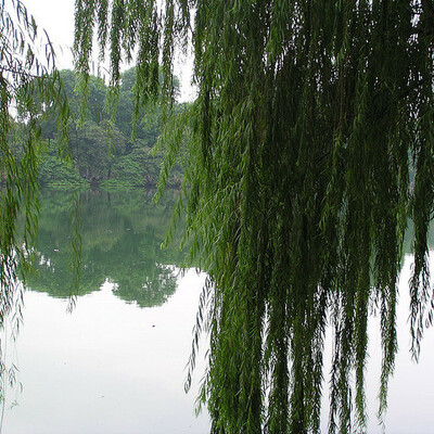 Timeline: Chapter 6: In the Third Month of the Year of Famine