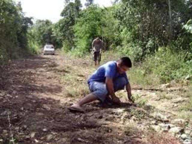 Programa de Bienestar Social Rural