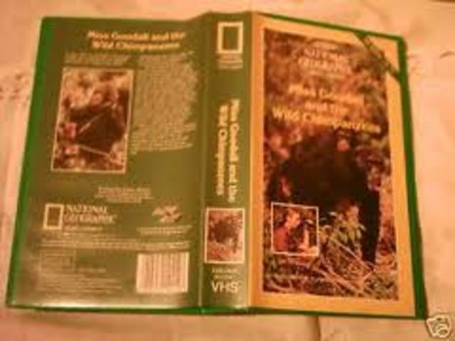 Miss Goodall and The Wild Chimpanzees
