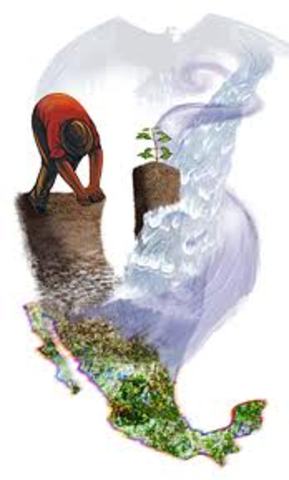 Programa Nacional de Solidaridad (PRONASOL)