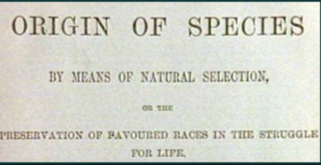 Origin of Species