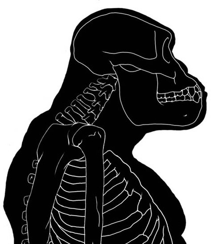 Sahelanthropus tchadensis