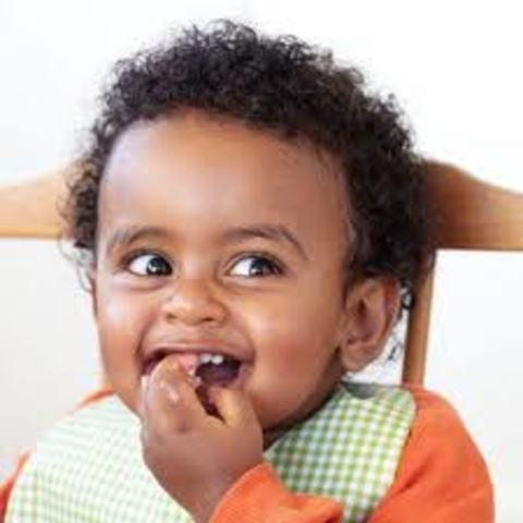 13-15 Months: Intellectual Development