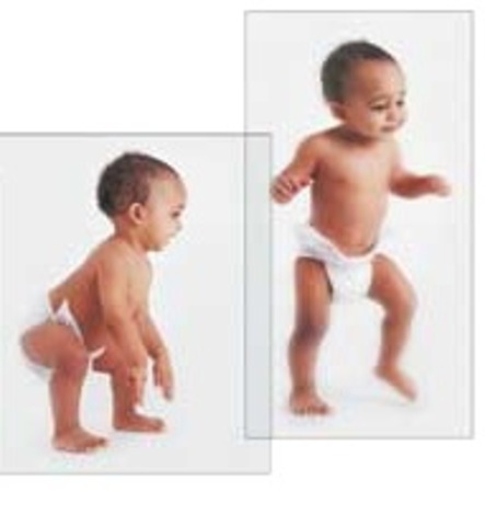 13-15 Months Physical