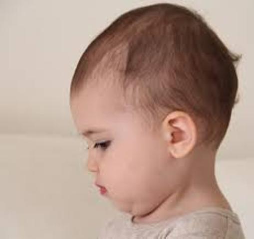 13 - 15 Months Cognitive Development