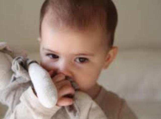 13 - 15 Month Physical Development