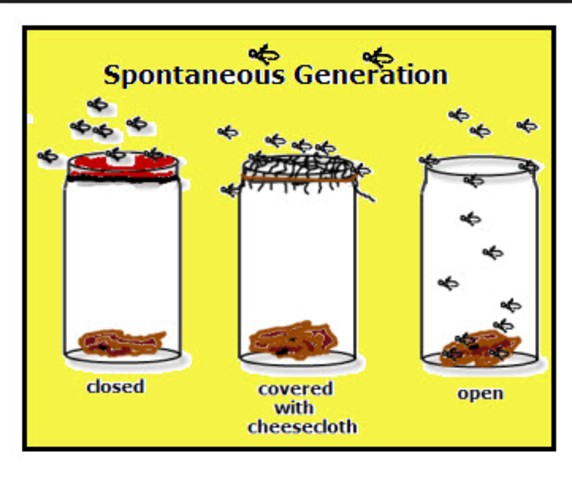 Spontaneous Generation
