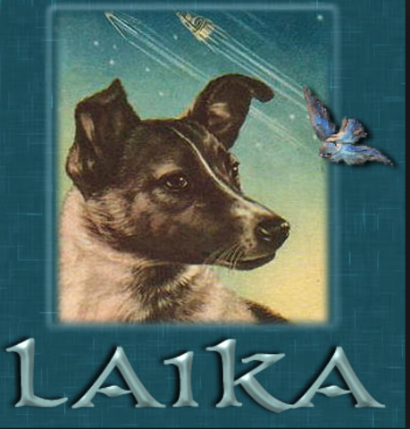 laika