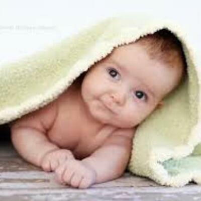 Timeline: Toddler Timeline