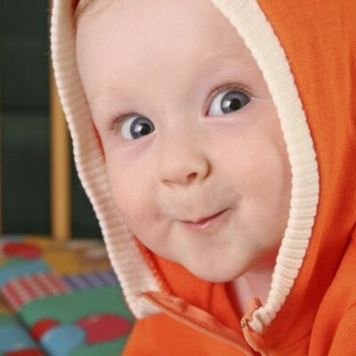 Timeline: Toddler Timeline