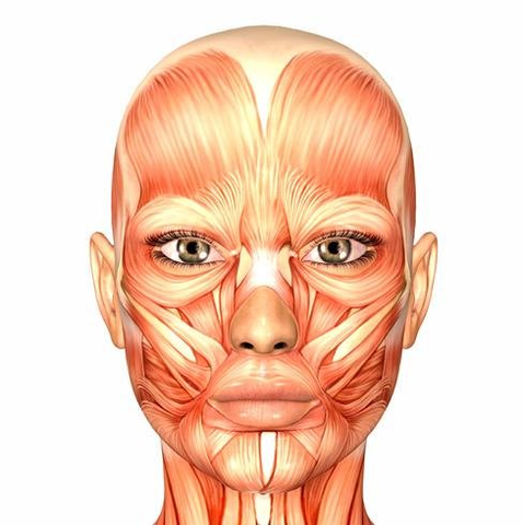 Holstedge, Kuypers, Dekler