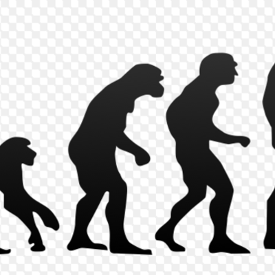 Timeline: Evolution Revolution