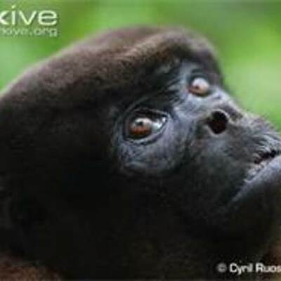 Timeline: Russian Revolution Pd.4