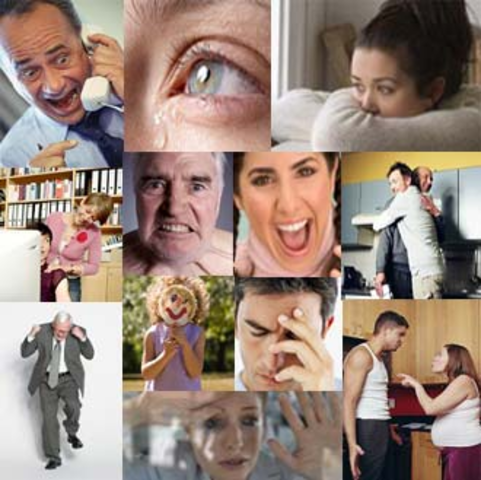 Shaver, Conocimiento emocional